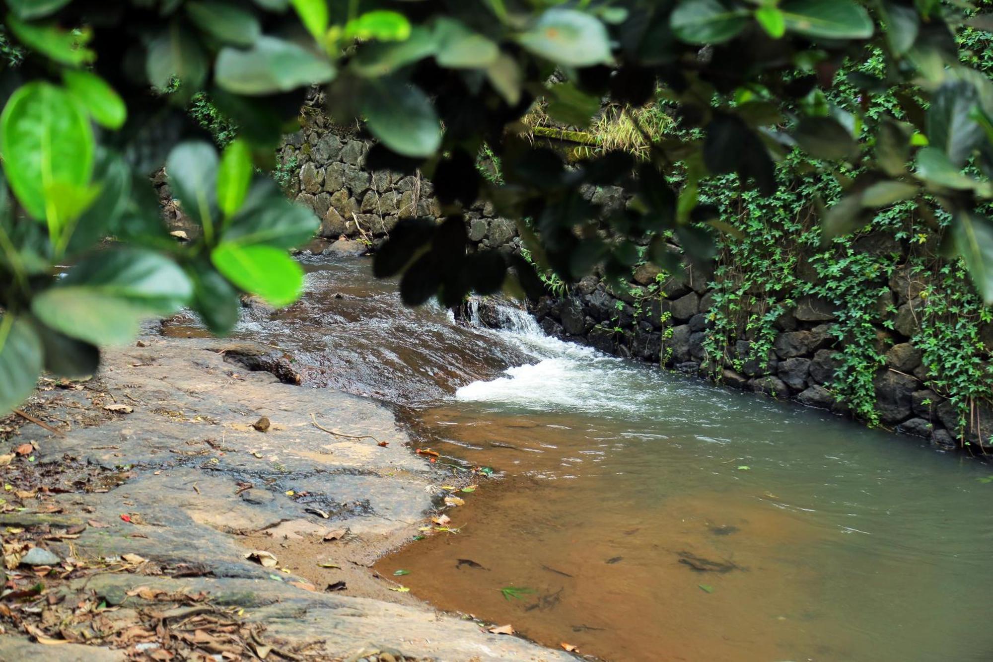 Snow Hills Resorts Thekkady Exterior photo